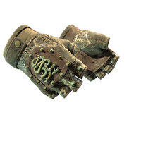 ★ Hydra Gloves | Rattler (Battle-Scarred)