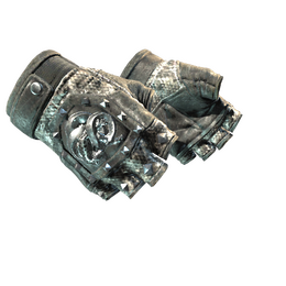 ★ Broken Fang Gloves | Unhinged (Field-Tested)