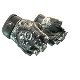 ★ Broken Fang Gloves | Unhinged (Factory New)