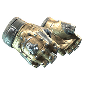 ★ Bloodhound Gloves | Bronzed (Field-Tested)