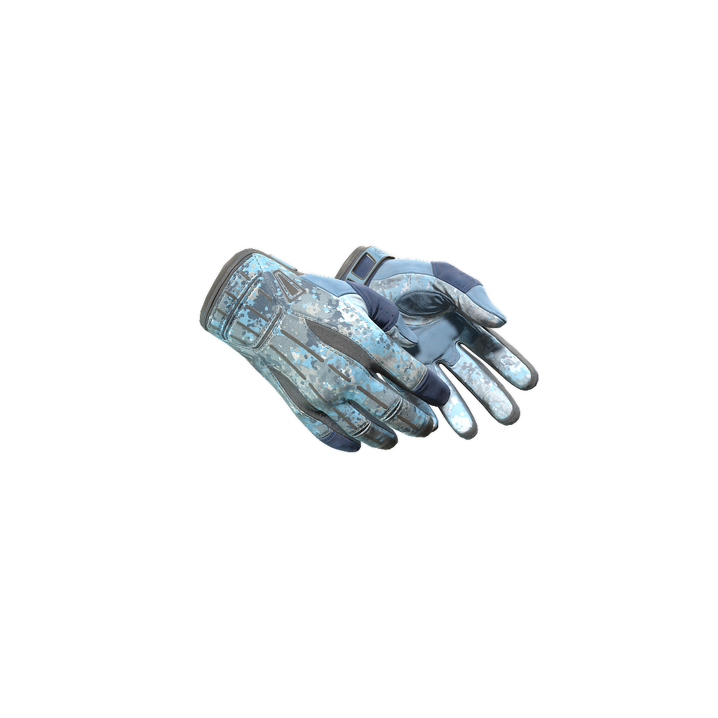 CS2 Sport Gloves | Frosty skin