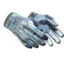 ★ Sport Gloves | Frosty
