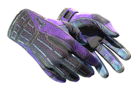 Sport Gloves | Pandora's Box