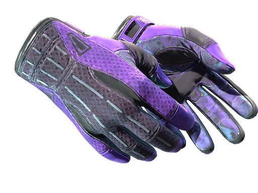 Sport Gloves | Pandora's Box