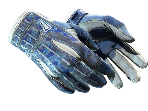 ★ Sport Gloves | Amphibious (Battle-Scarred)