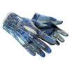 ★ Sport Gloves | Amphibious (Battle-Scarred)