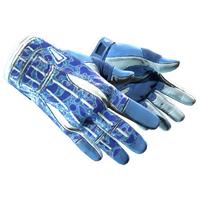 ★ Sport Gloves | Amphibious (Minimal Wear)