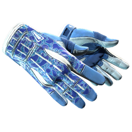 ★ Sport Gloves | Amphibious (Minimal Wear)