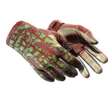 ★ Sport Gloves | Bronze Morph (Well-Worn)