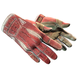 ★ Sport Gloves | Slingshot (Field-Tested)