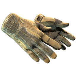 ★ Sport Gloves | Arid (Battle-Scarred)