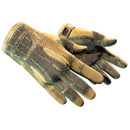 ★ Sport Gloves | Arid (Field-Tested)