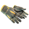 ★ Sport Gloves | Omega (Well-Worn)