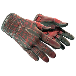★ Sport Gloves | Scarlet Shamagh (Battle-Scarred)
