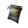 Autograph Capsule | Fnatic | Cologne 2015