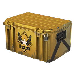 Winter Offensive Weapon Case