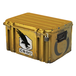 Clutch Case