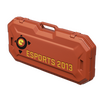 eSports 2013 Case