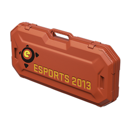 eSports 2013 Case
