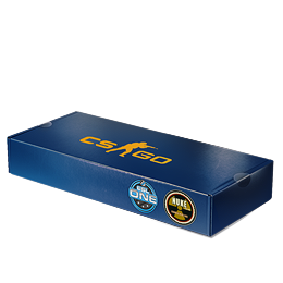 ESL One Cologne 2014 Nuke Souvenir Package