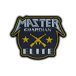 Patch | Metal Master Guardian Elite