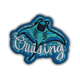 Patch | Cruising Ray
