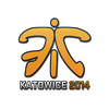 Sticker | Fnatic | Katowice 2014