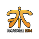 Fnatic | Katowice 2014