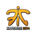 Fnatic (Holo) | Katowice 2014