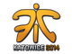 Fnatic | Sticker | Fnatic (Holo) | Katowice 2014