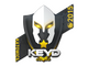Sticker | Keyd Stars | Katowice 2015