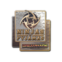Ninjas in Pyjamas (Holo) | DreamHack 2014