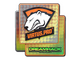 Sticker | Virtus.Pro (Holo) | DreamHack 2014