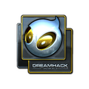 Team Dignitas (Foil) | DreamHack 2014