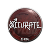 Sticker | xccurate | Katowice 2019