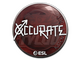 Sticker | xccurate | Katowice 2019