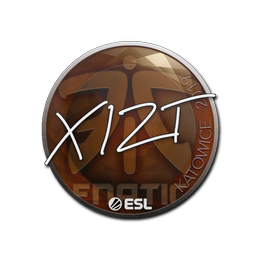 Sticker | Xizt | Katowice 2019