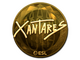 Sticker | XANTARES (Gold) | Katowice 2019