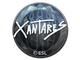 Sticker | XANTARES (Foil) | Katowice 2019
