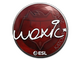 Sticker | woxic | Katowice 2019