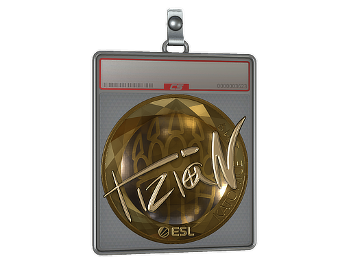 Sticker Slab | tiziaN (Gold) | Katowice 2019