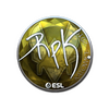 Sticker | RpK (Foil) | Katowice 2019