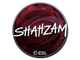 Sticker | ShahZaM (Foil) | Katowice 2019