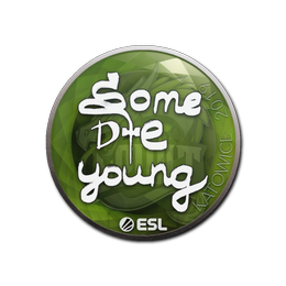 Sticker | sdy | Katowice 2019