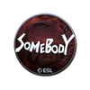 Sticker | somebody (Foil) | Katowice 2019