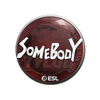 Sticker | somebody | Katowice 2019