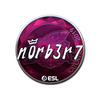 Sticker | n0rb3r7 (Foil) | Katowice 2019
