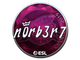 Sticker | n0rb3r7 (Foil) | Katowice 2019