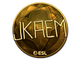 Sticker | jkaem (Gold) | Katowice 2019