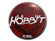 Sticker | Hobbit | Katowice 2019